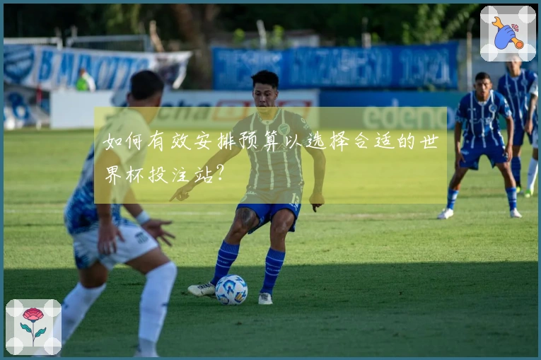 如何有效安排预算以选择合适的世界杯投注站？
