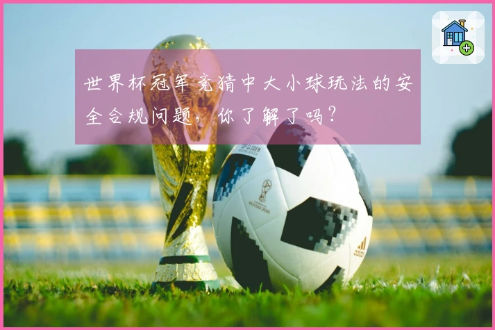 世界杯冠军竞猜中大小球玩法的安全合规问题，你了解了吗？