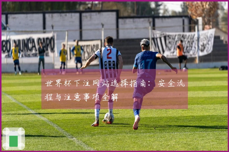 世界杯下注网站选择指南：安全流程与注意事项全解