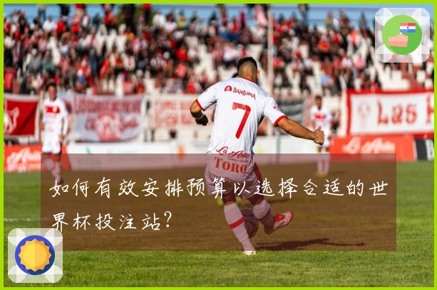 如何有效安排预算以选择合适的世界杯投注站？