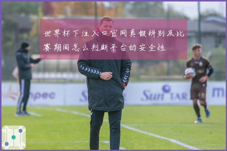 世界杯下注入口官网真假辨别及比赛期间怎么判断平台的安全性