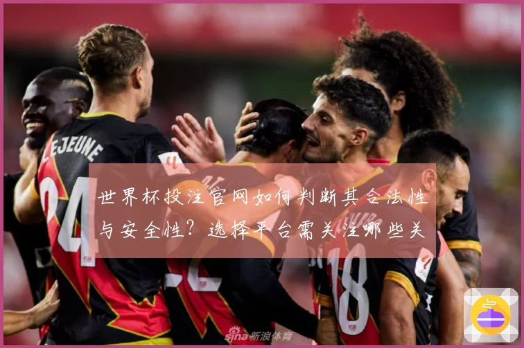 世界杯投注官网如何判断其合法性与安全性？选择平台需关注哪些关键因素？